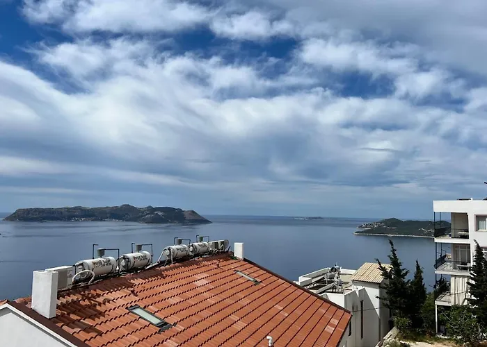 Blue View *